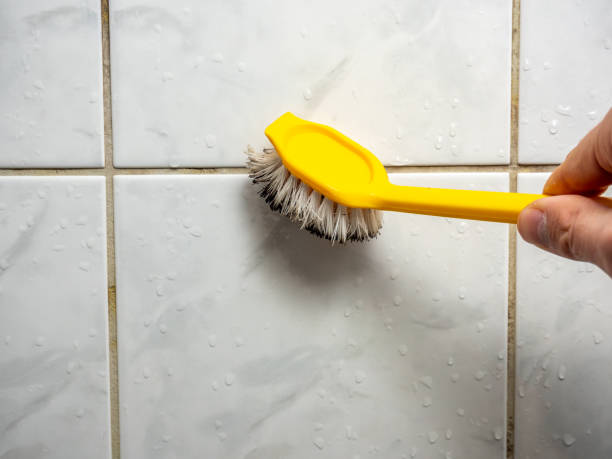 Best Black Mold Remediation in Wakarusa, IN